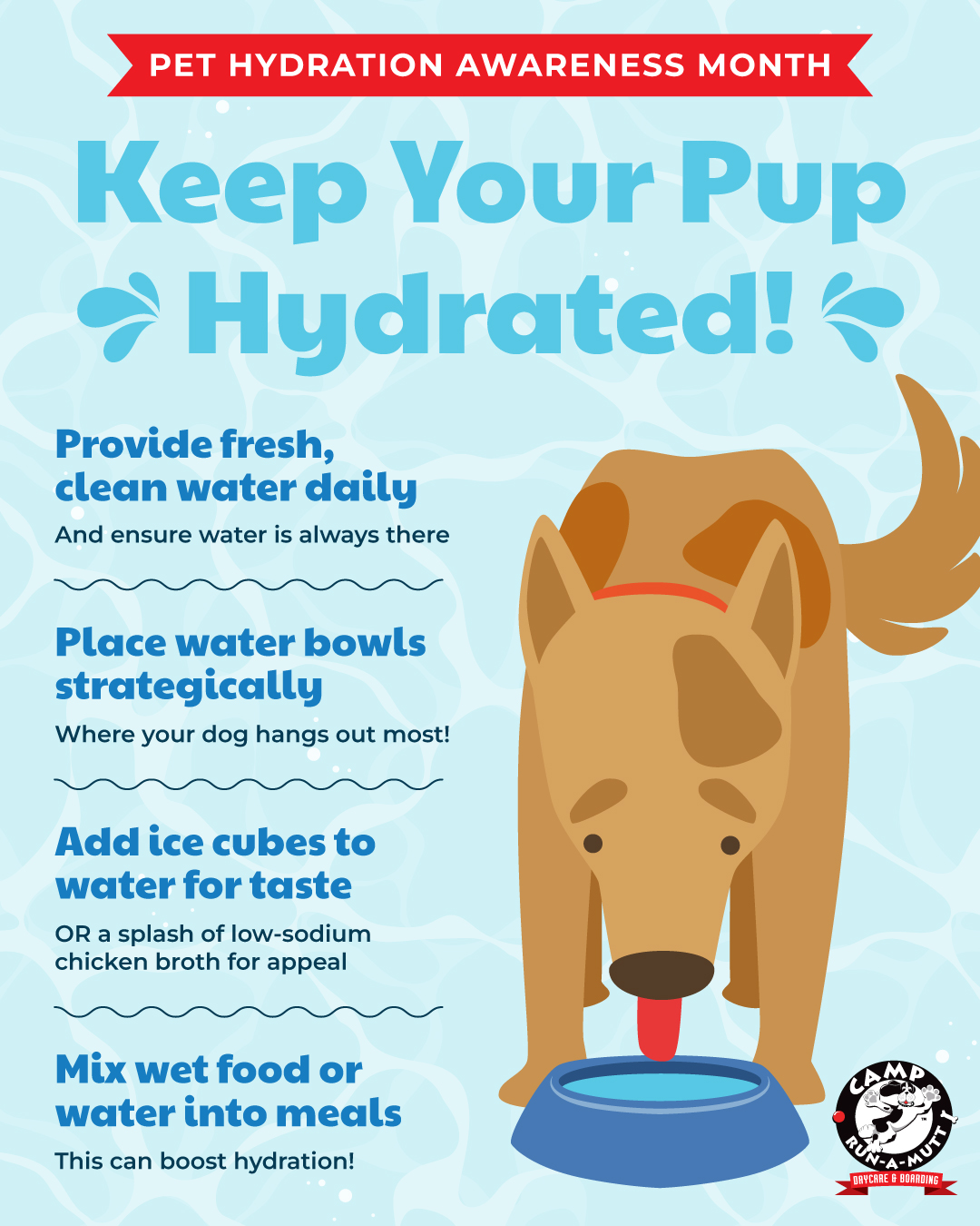 Stunning Do Puppies Need To Eat Grass To Rehydrate After Exercise image