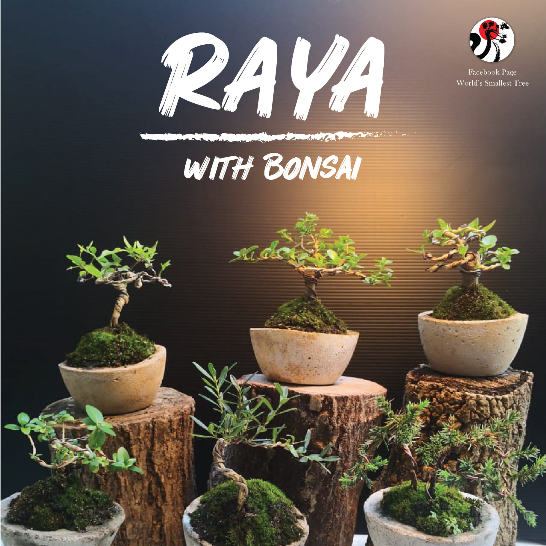 Selamat Hari Raya to all... - World's Smallest Tree - WST