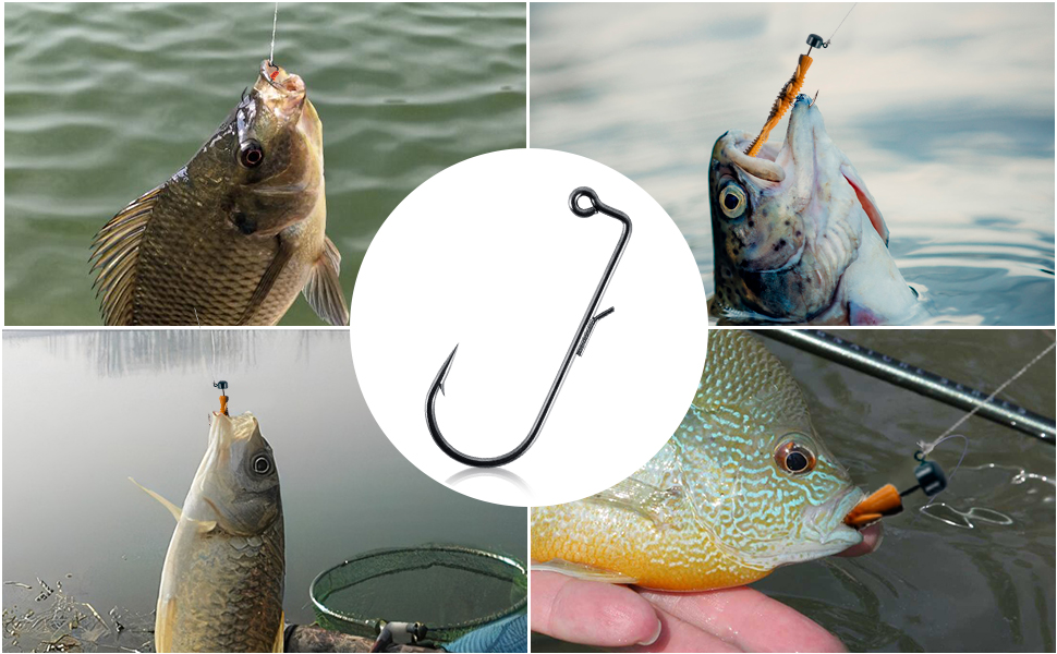 dr fish led lures Lake X Dr. Evil  Team Rhino Outdoors LLC can use both in Saltwater or Freshwater Dr.Fish 5pcs Oval LED Fishing