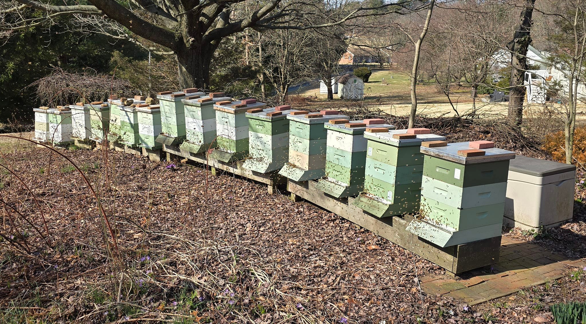Finksburg Fields Apiary
