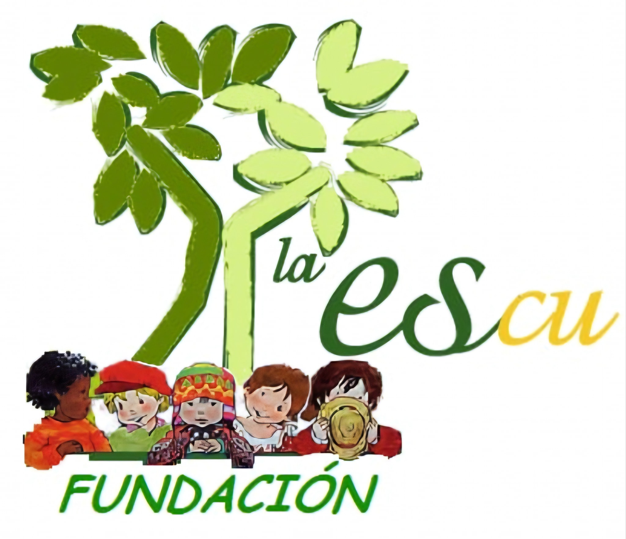 Fundación La Escu Cuenca | Cuenca