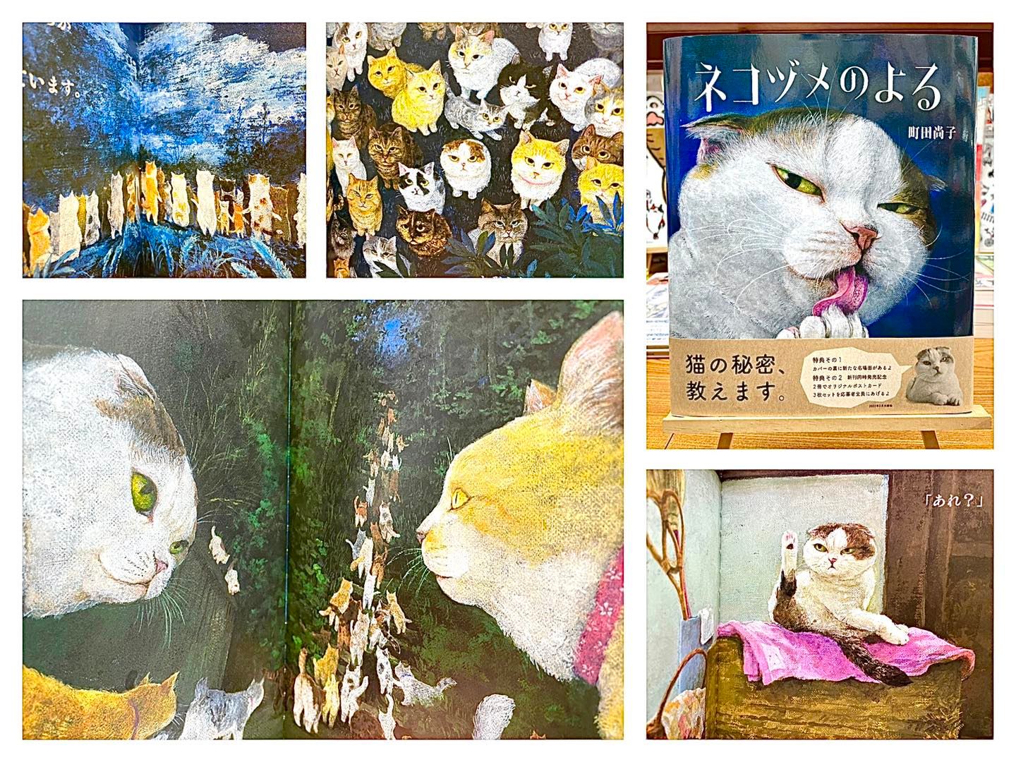猫本専門 神保町にゃんこ堂 神保町交差点 姉川書店内 Home Facebook