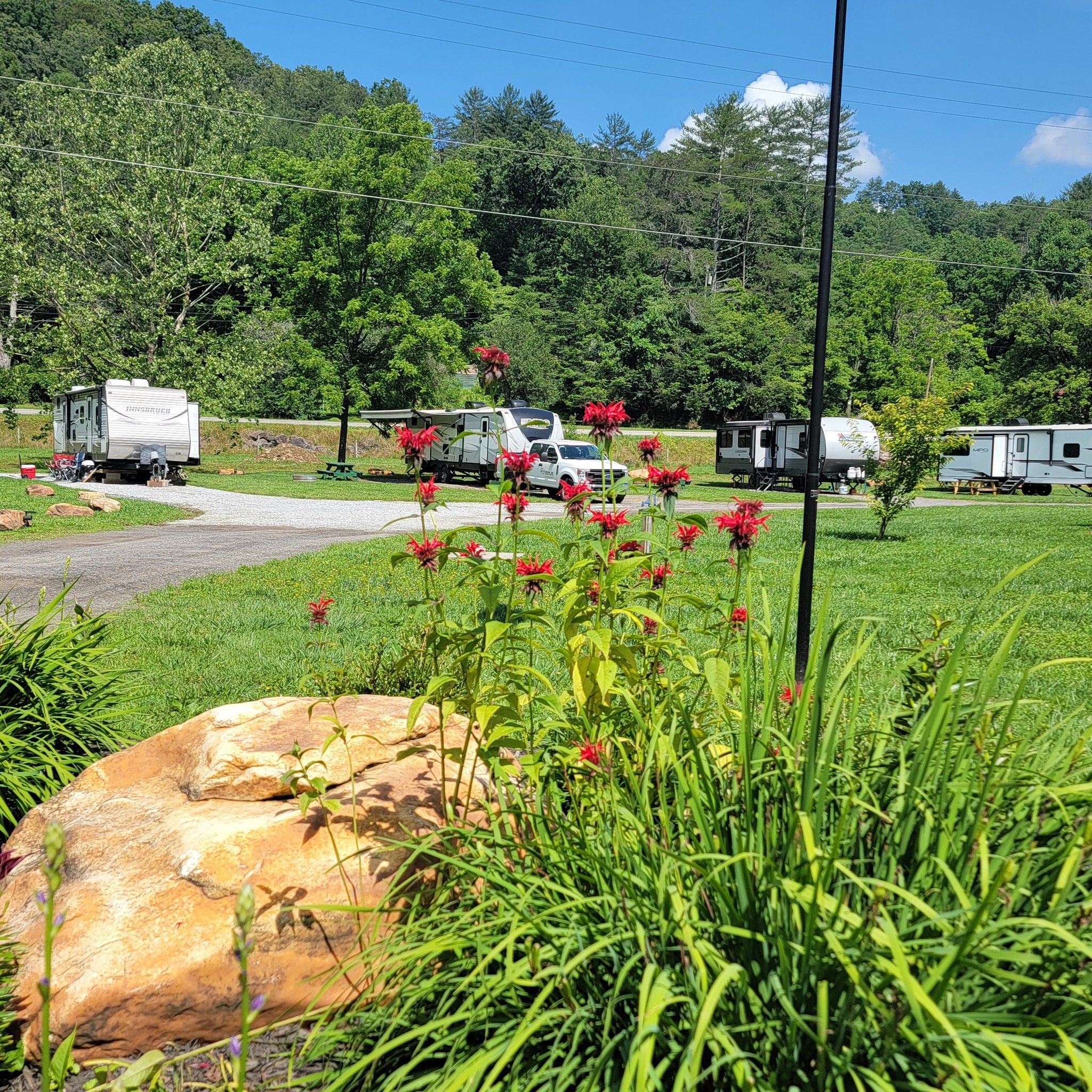 Bluebird Valley Campground and RV Park | Marble NC
