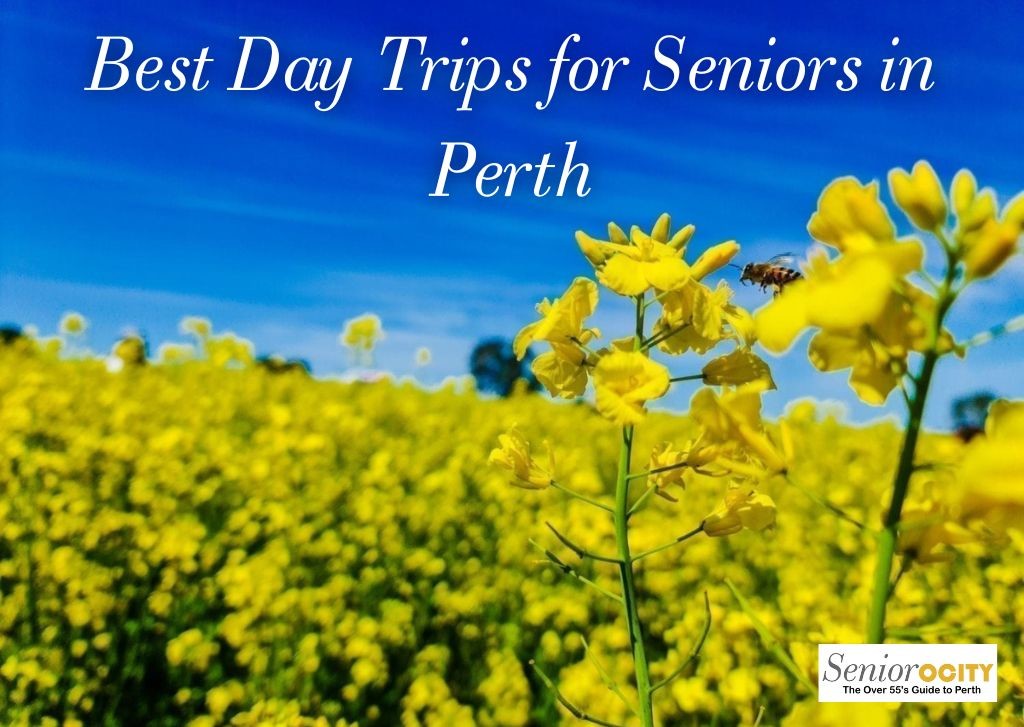 Seniorocity - The Over 55’s Guide to Perth