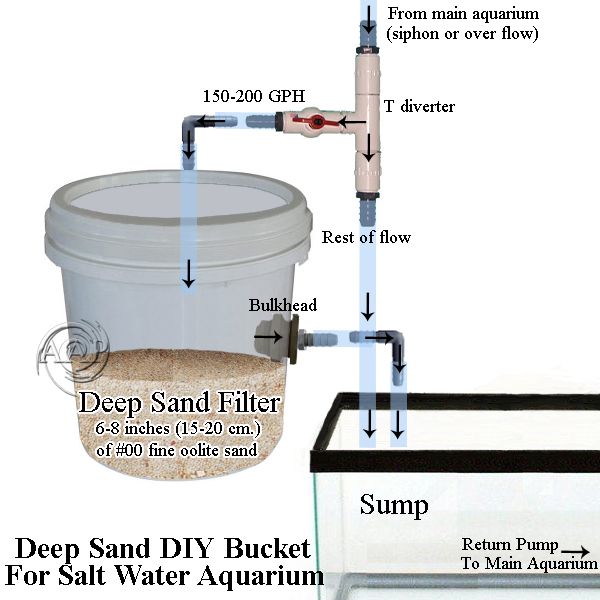 Snapshot of Saltwater Aquarium Sand Bed Highly Efficient Filtration Systems