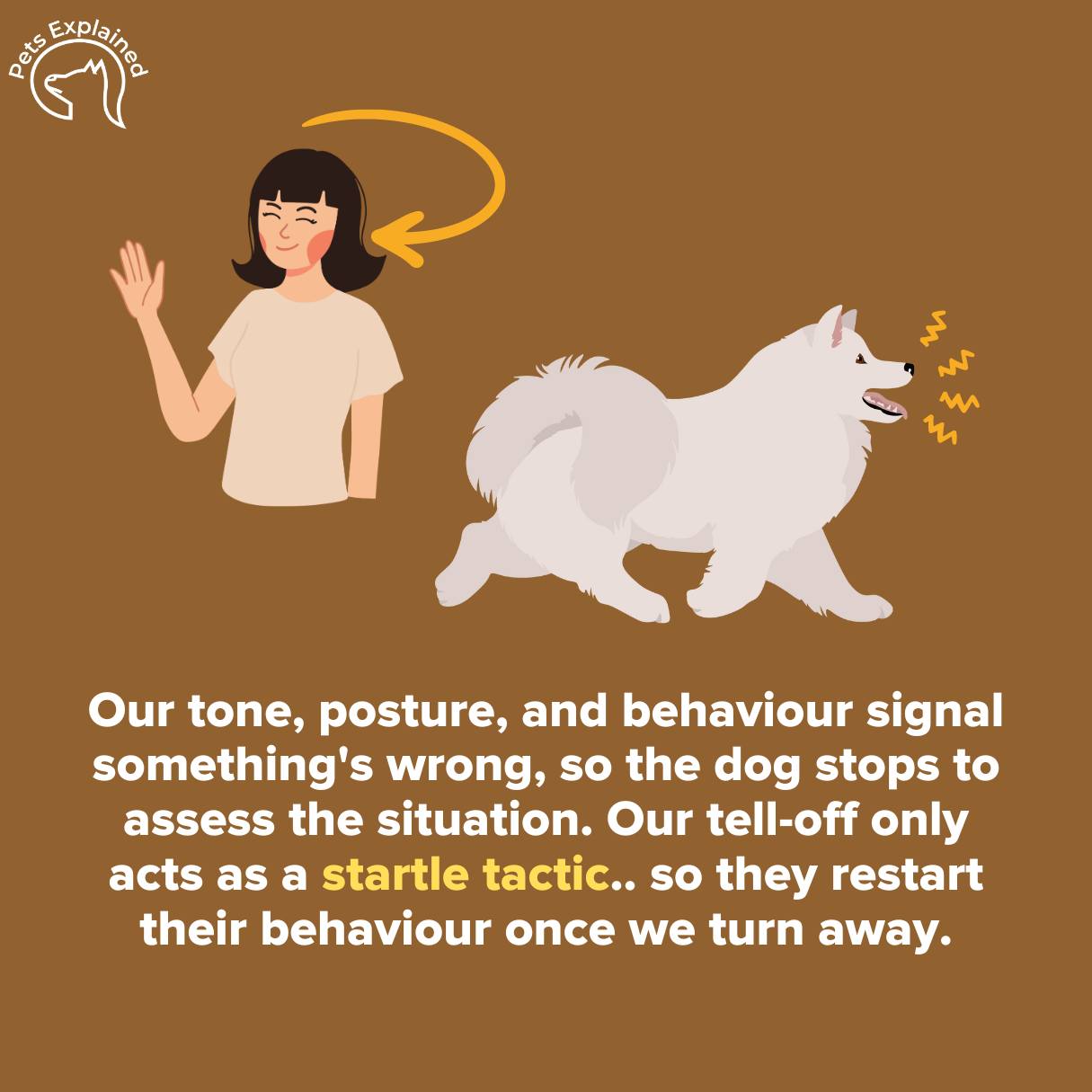 Pets Explained