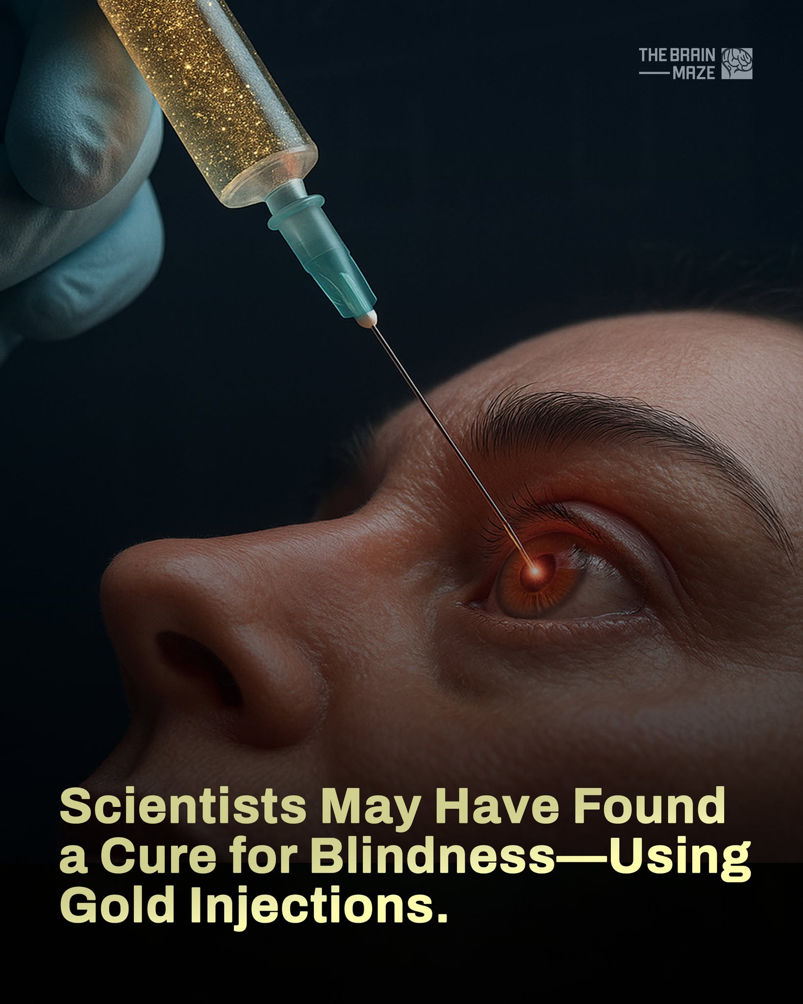 The Brain - In a groundbreaking study published in ACS Nano, scientists ...