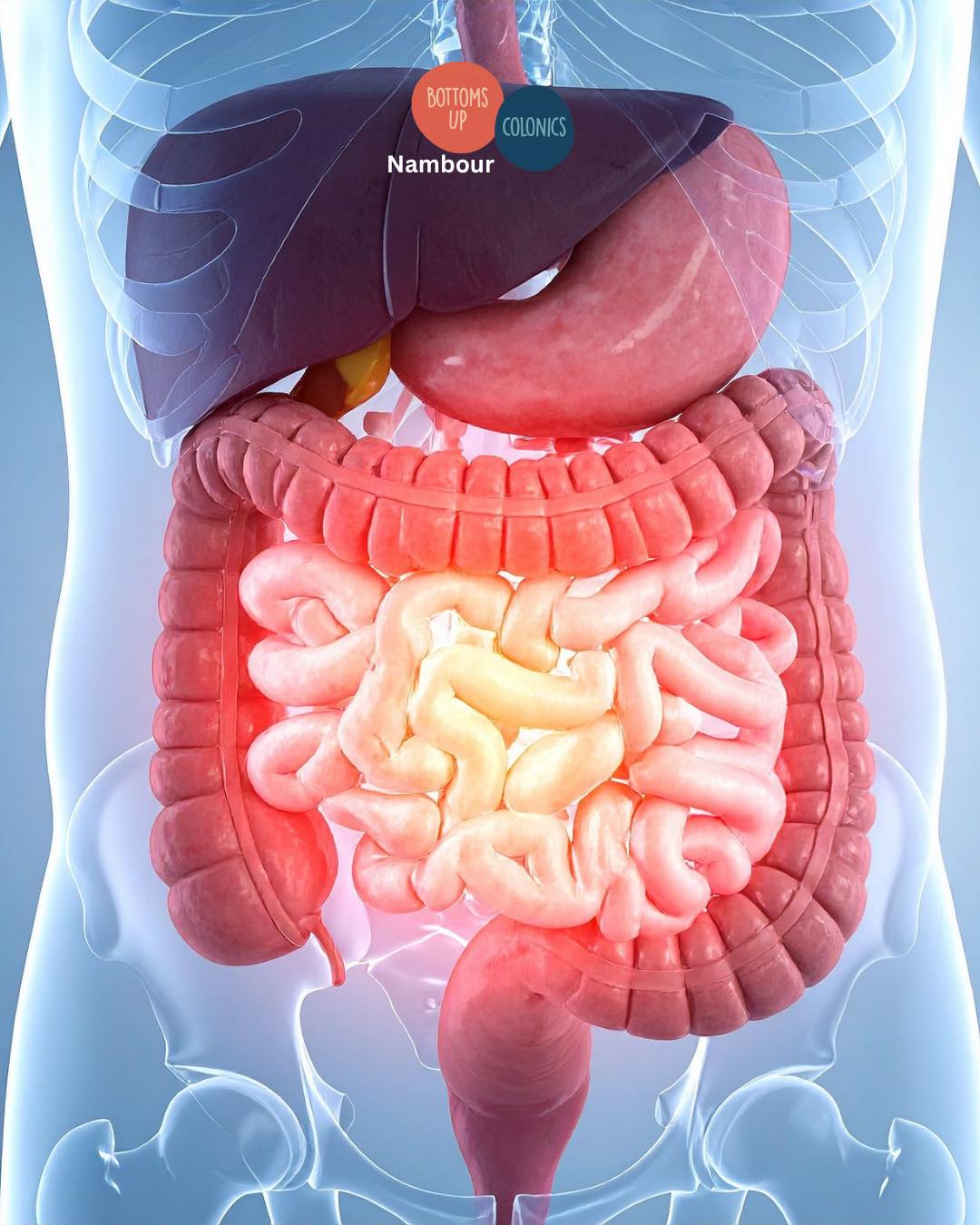 Bottoms Up Colonics - Nambour Sunshine Coast - We often relate Colonic ...