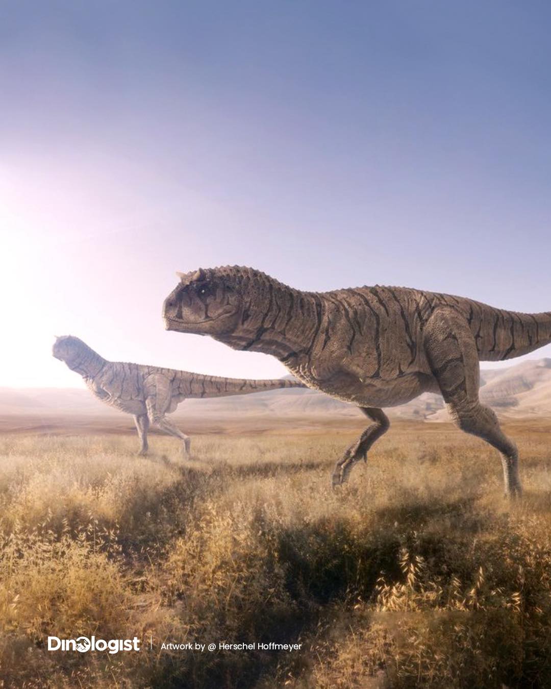 Dinologist | Montreal QC