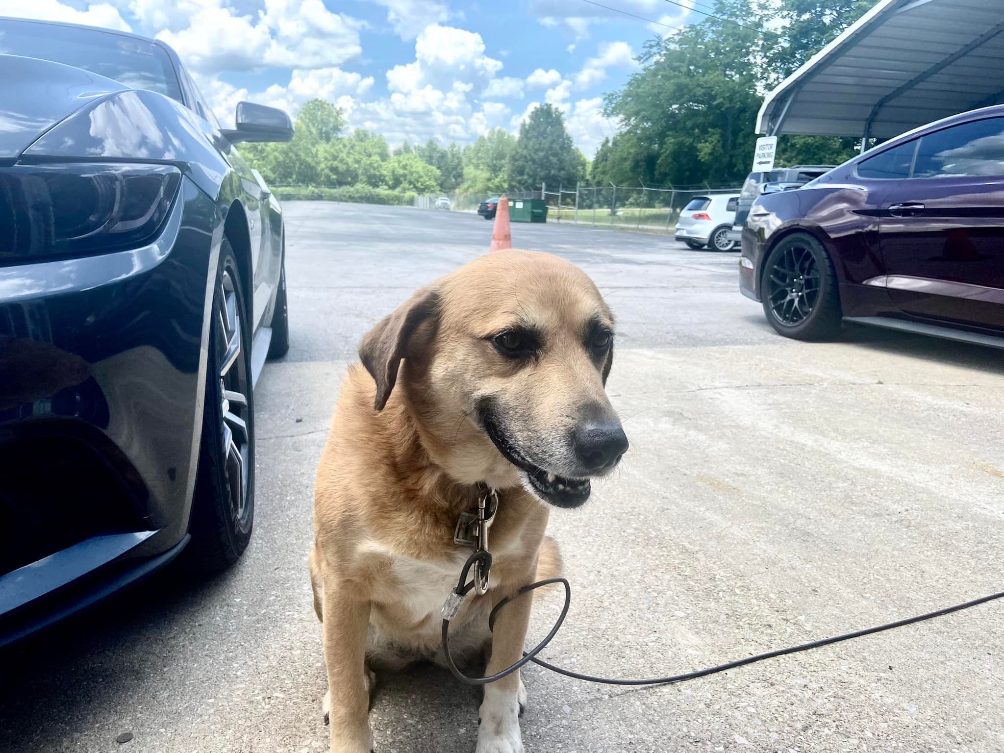 Next Ride Auto Sales