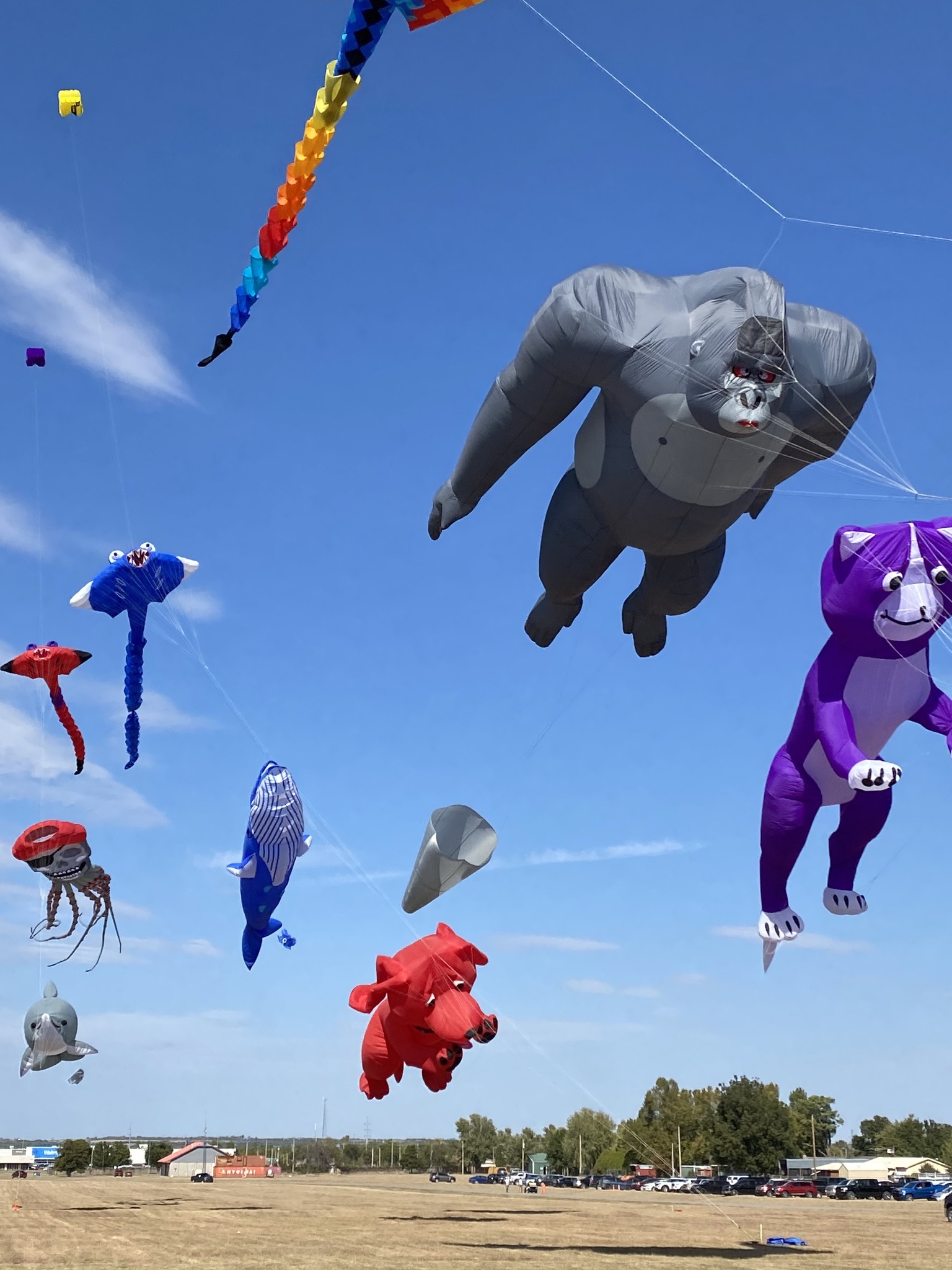 Sara’s Farm Adventure Kite Festival with Great American Kites