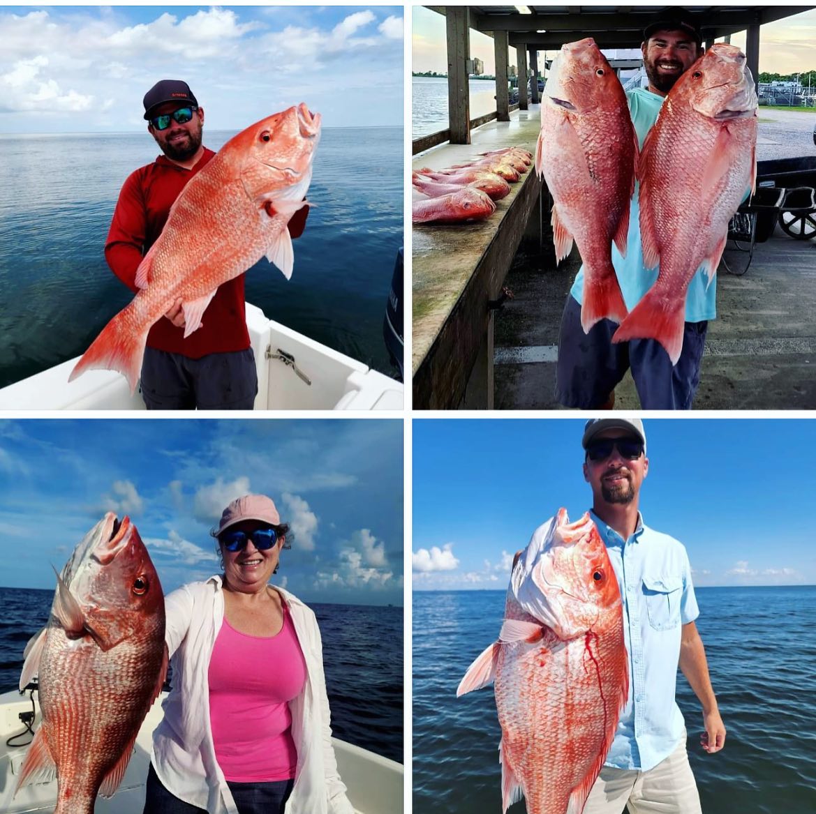 Venice - ‼️It’s almost Snapper season! This is an inshore trip plus ...