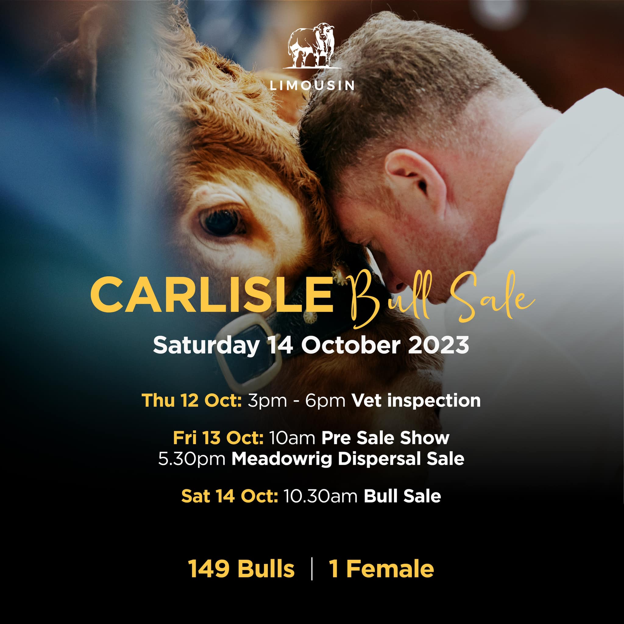🌟 Carlisle October Bull... - British Limousin Cattle Society