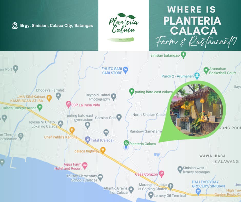 Looking for us? Here’s a map for you!... - Planteria Calaca