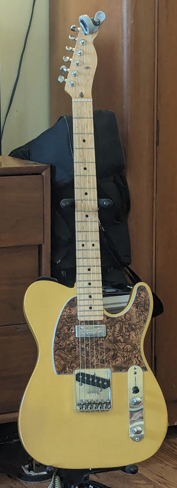 Warmoth '72 thinline telecaster with Fralin humbuckers