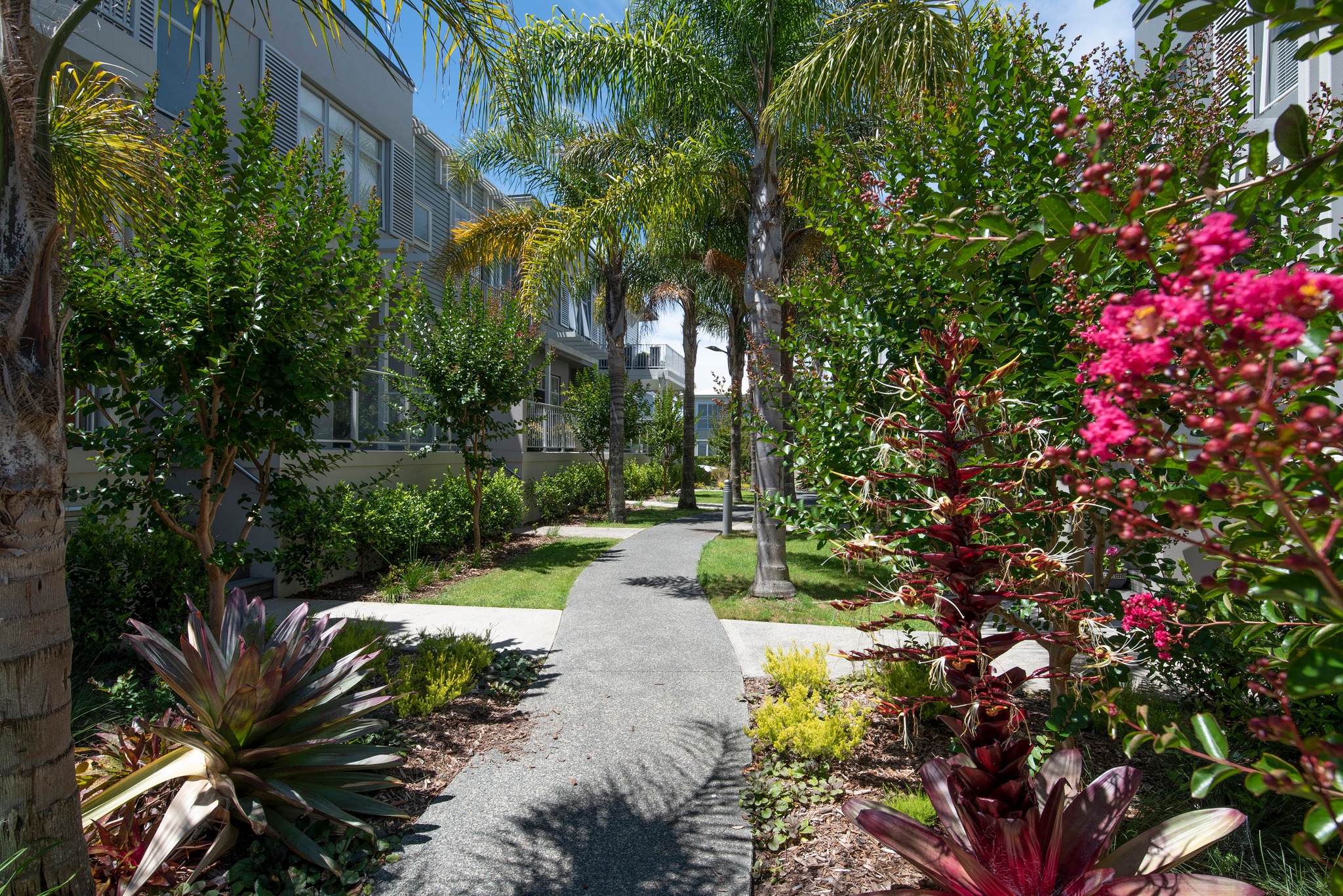 🌿 Embrace the beauty of Kensington... Kensington Park Orewa