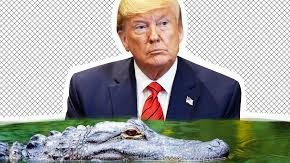 Trump Threatens Migrants Be Eaten By Burmese Pythons In Everglades