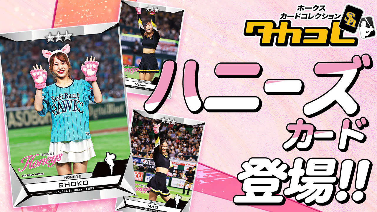 タカコレ にハニーズカードが登場✨ハニーズカードは11月6日（月）まで
