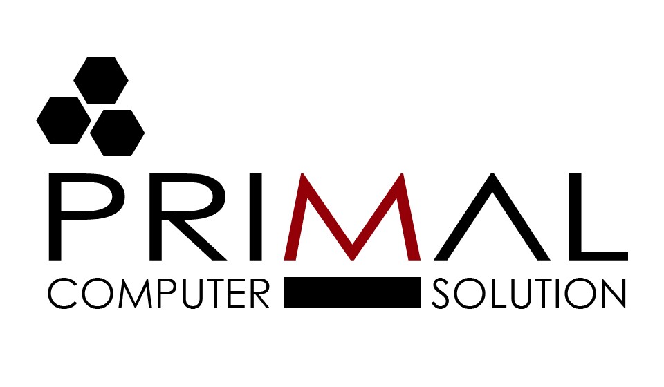 Primal Computer Solution