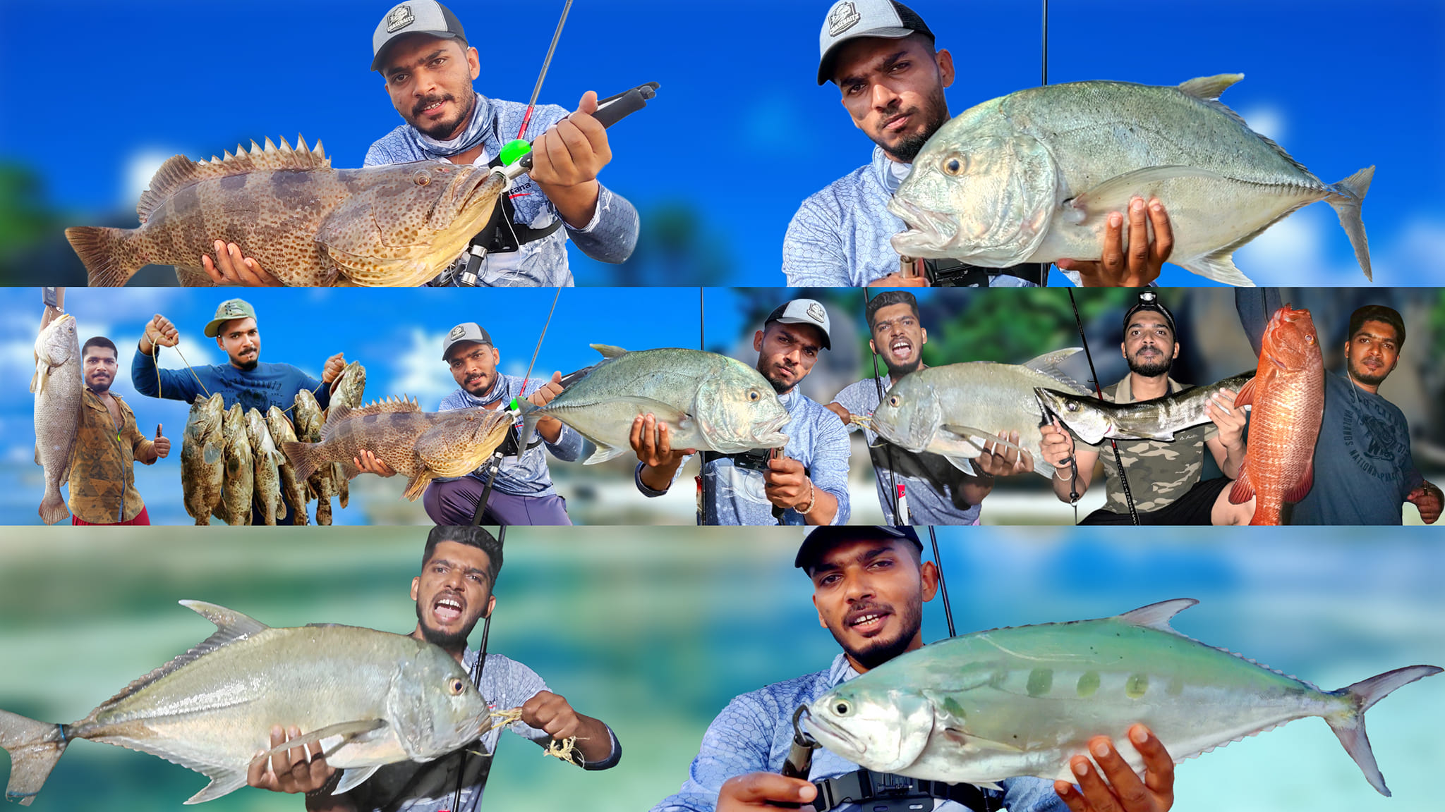 Fish on