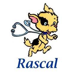 Rascal Unit - We have appointments available for surgery... | Facebook