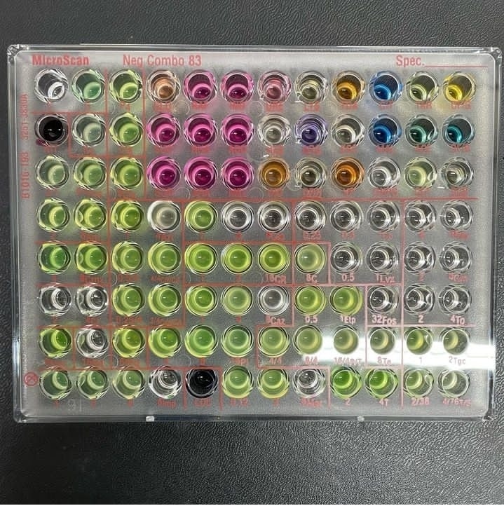 Identificación y antibiograma de... - Microbiologia Medica