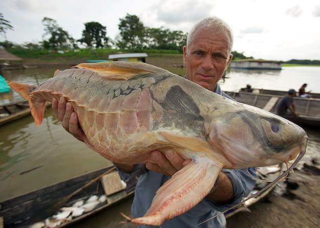 The Jeddah Fishing Club Page | Jeddah