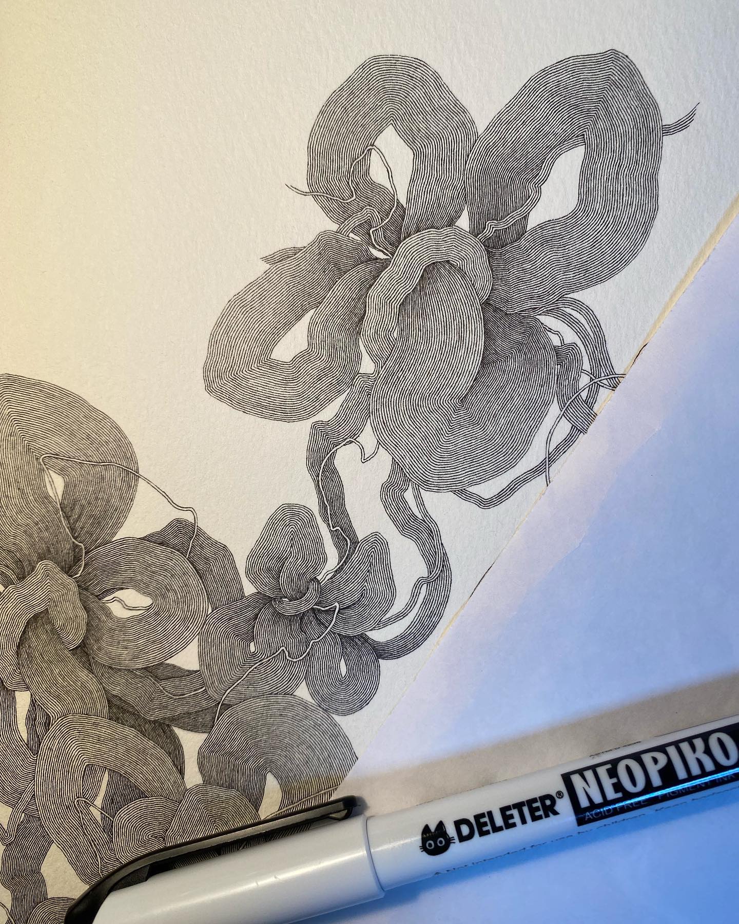 Ayano Nakamura (@ayano.n.draw) • Facebook