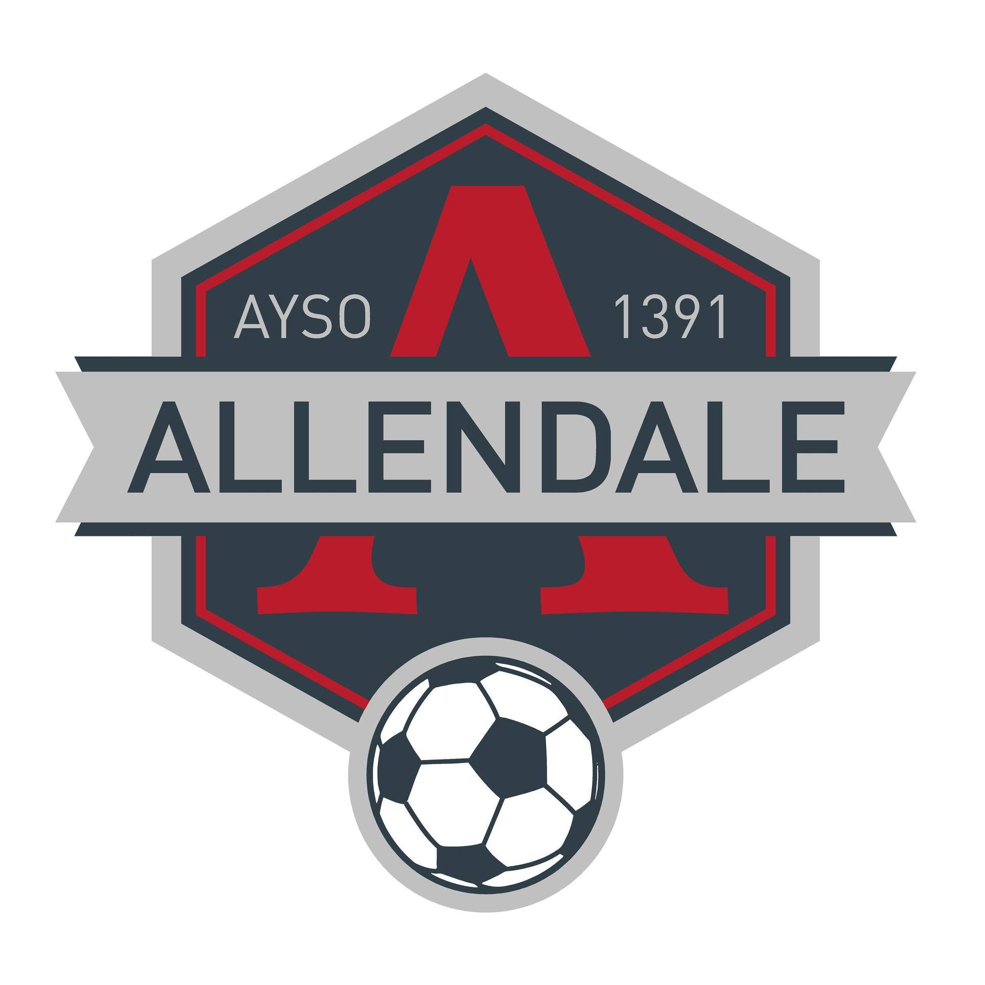 ⚽️ ALLENDALE AYSO WAITLIST OPEN!... - Allendale AYSO Soccer | Facebook