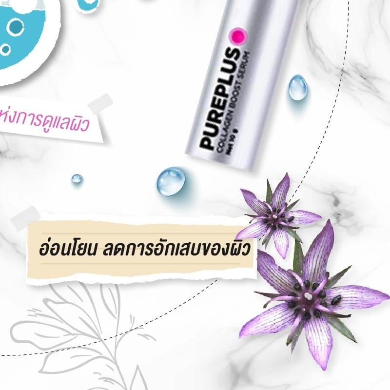 Pureplus Bangkok Shop ลดฝ้า กระ รอยหมองคล้ำ หน้าวีเชฟ