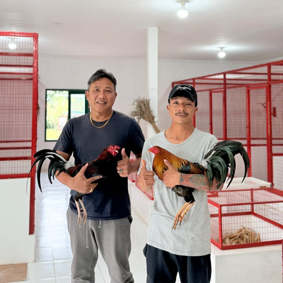 Maruti Gamefarm