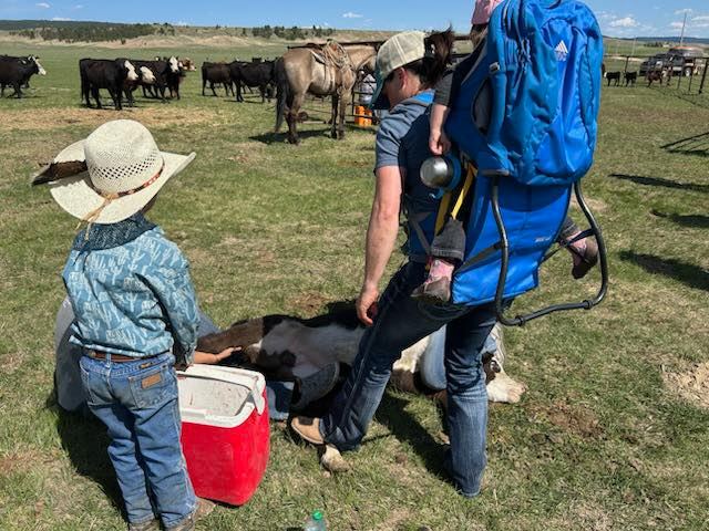 Kara - Real life on KARA CREEK RANCH! One of our owners, Cassie, with ...