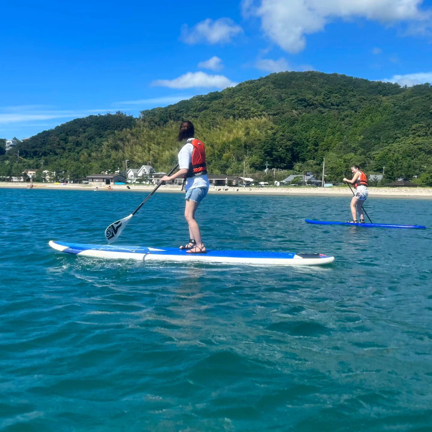 こんにちは! 只今サップが大好評です! テレビドラマ「真夏のシンデレラ 