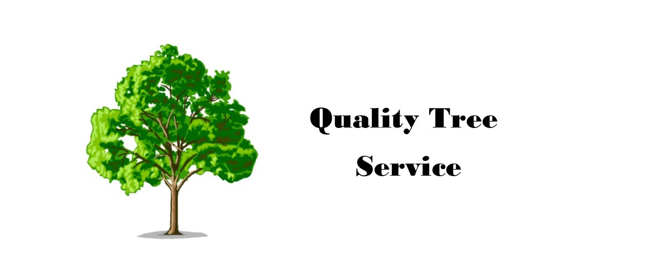 Quality Tree Service