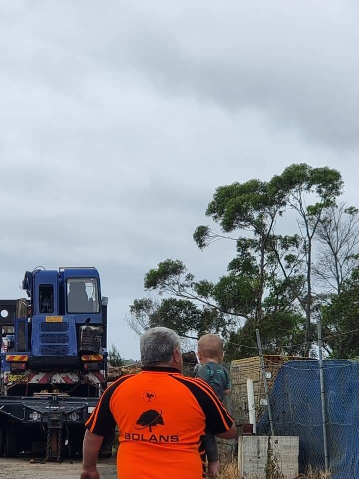 Bolans Residential & Strata Tree Services | Mount Kuring-Gai NSW