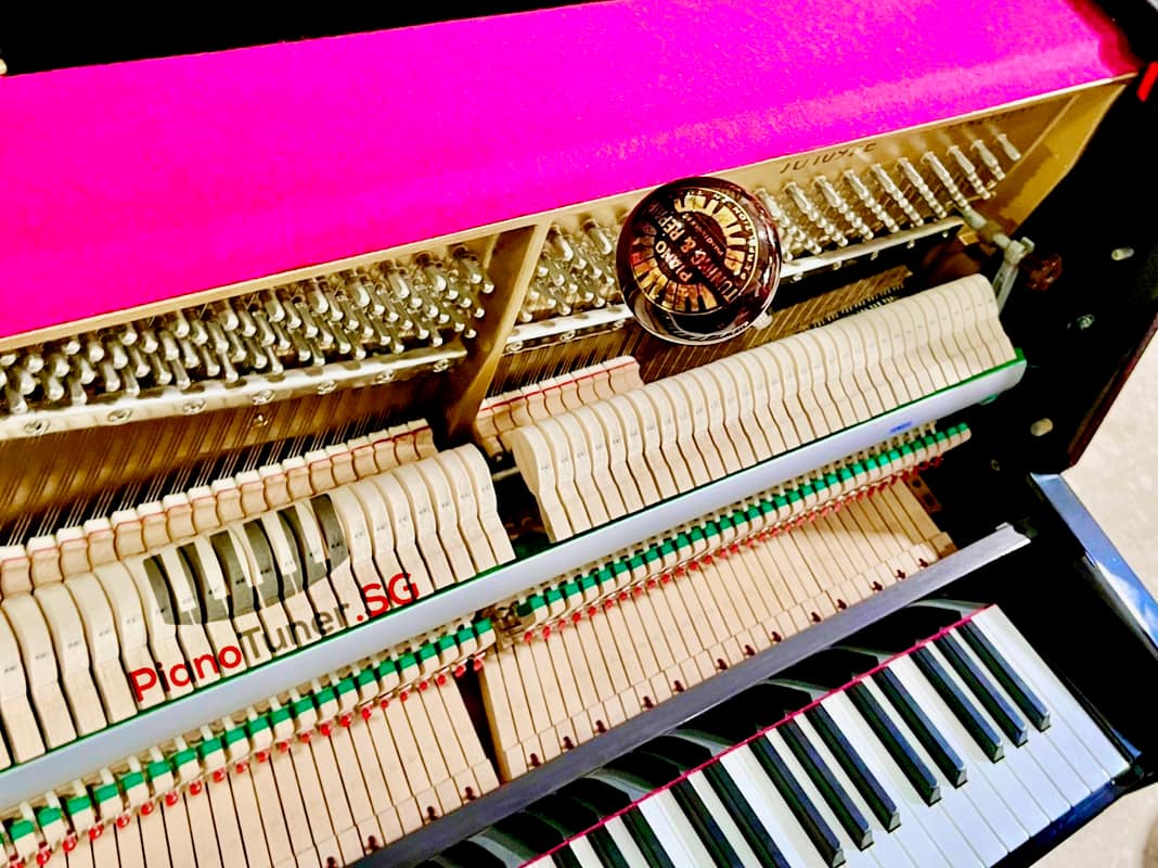 PianoTuner.SG - Pitch Raise Precision Fine Tuning of a...