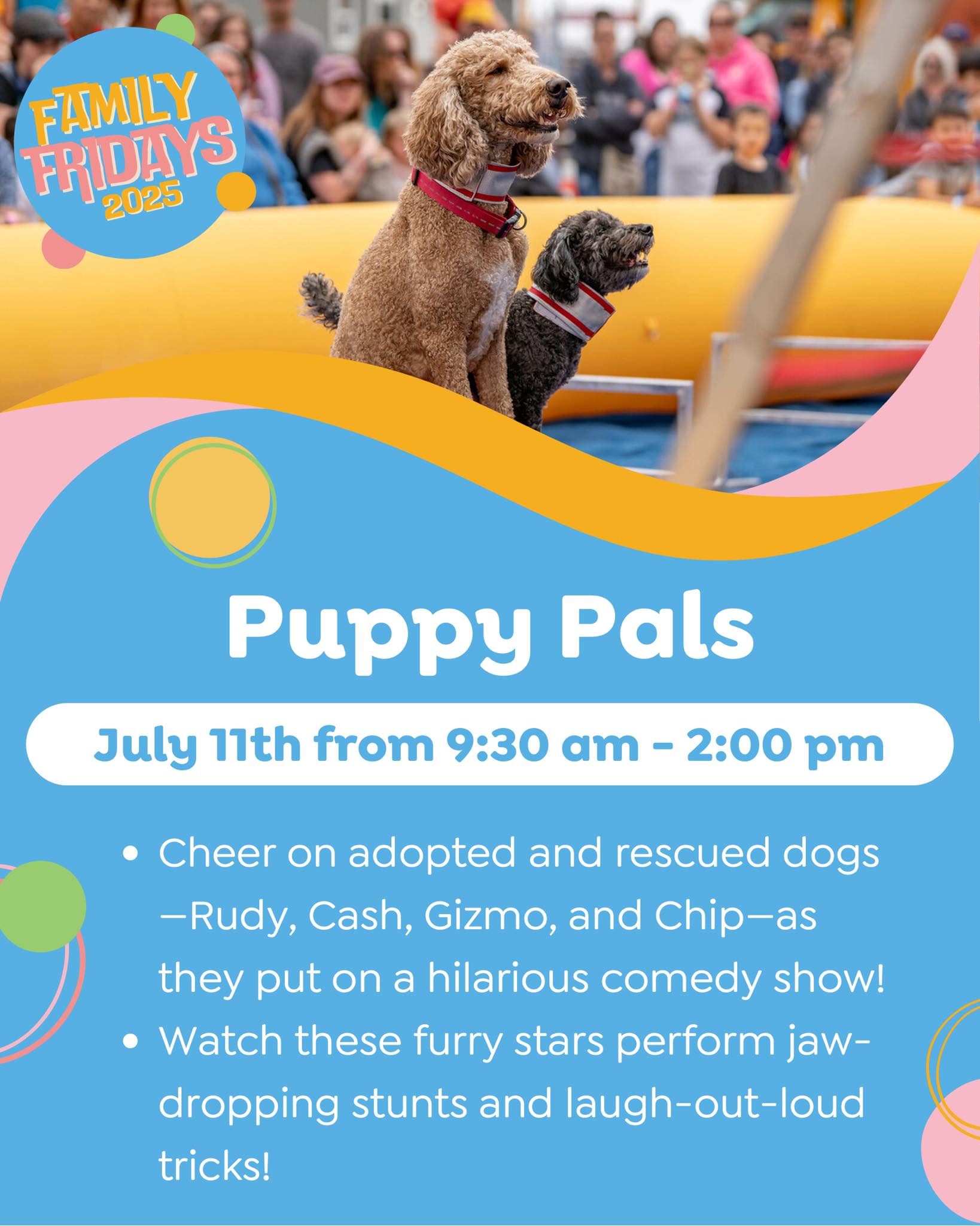Discovery - Puppy Pals is returning to the stage at DCM this Friday! 🐶 ...