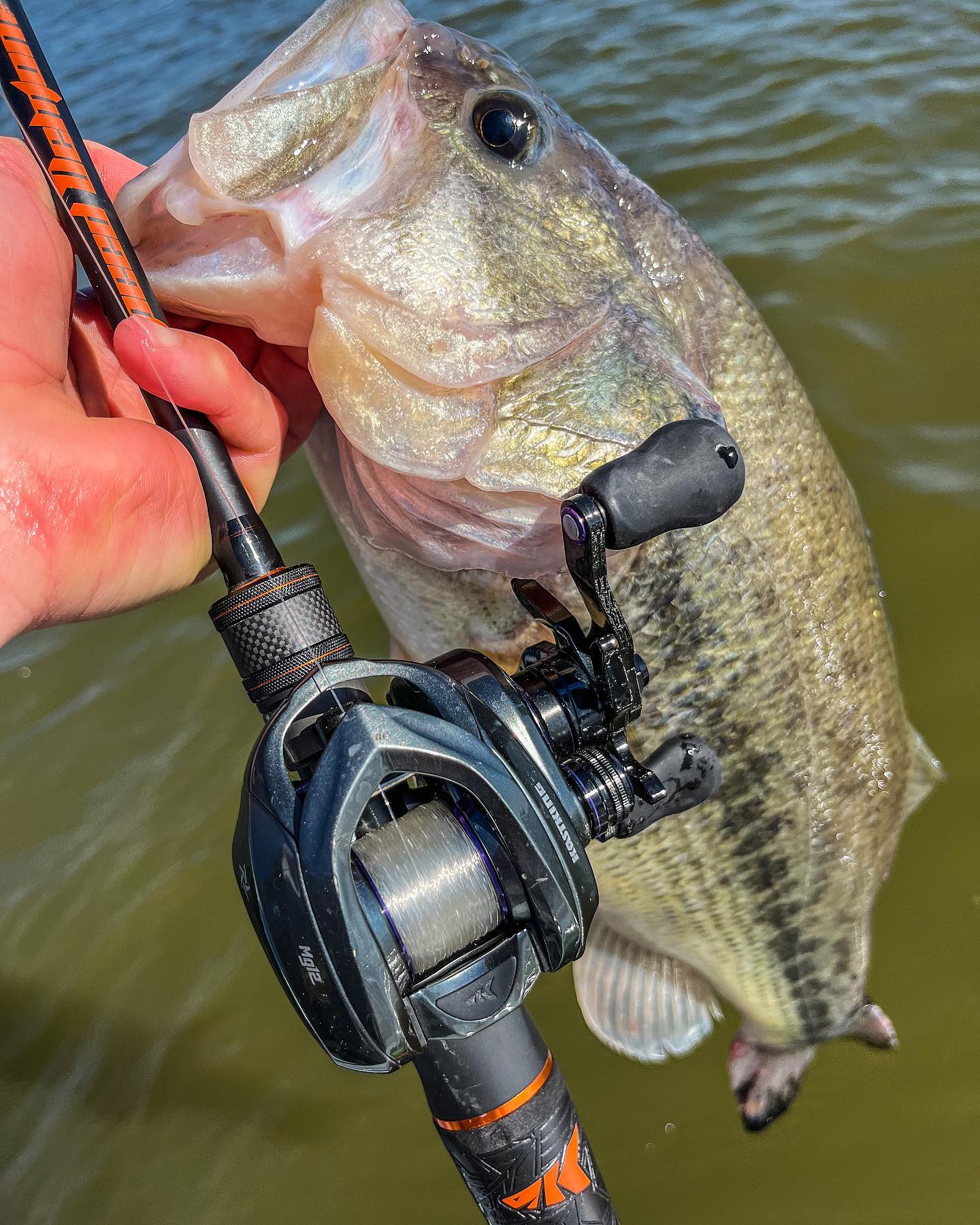 Bait N' Boujee - The master collection from @kastkingusa... | Facebook