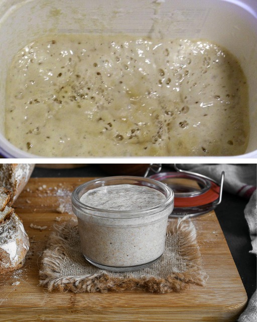 Raza - 👉Como hacer masa madre ¡Una receta muy buscada por su sabor ...