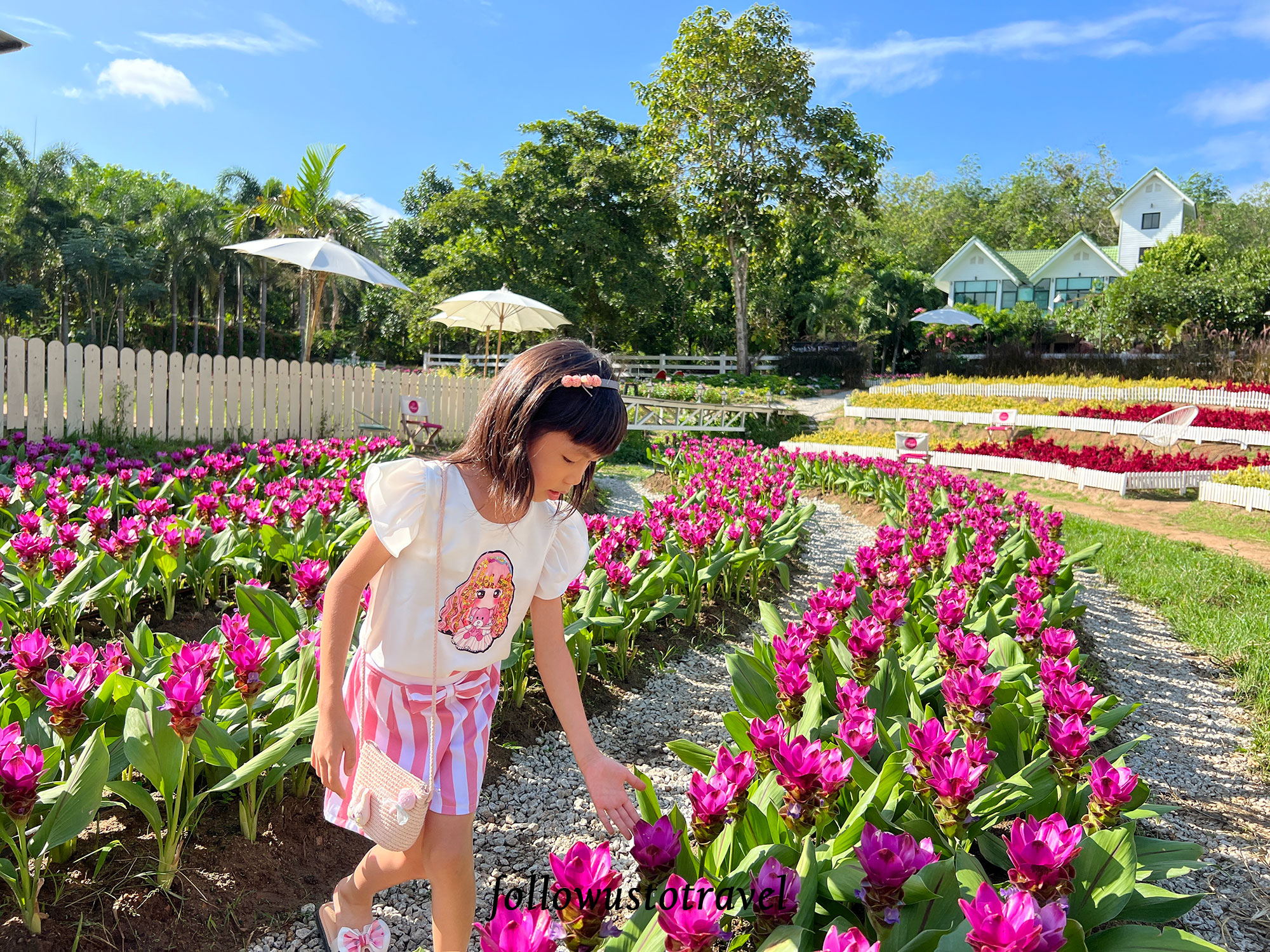 #帶父母去旅行 近期熱門的宋卡景點 - Songkhla Flower... - Follow Us To Travel