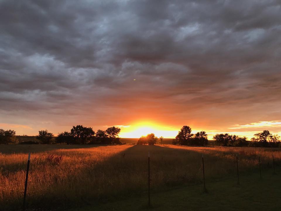 Freedom Farm Homestead | Adrian MO