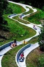 Doherty Reunion - Who remembers the alpine slide at Ski... | Facebook