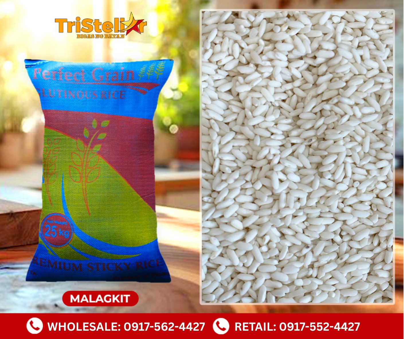 Tristellar Bacoor Warehouse... - Tristellar Bacoor Warehouse