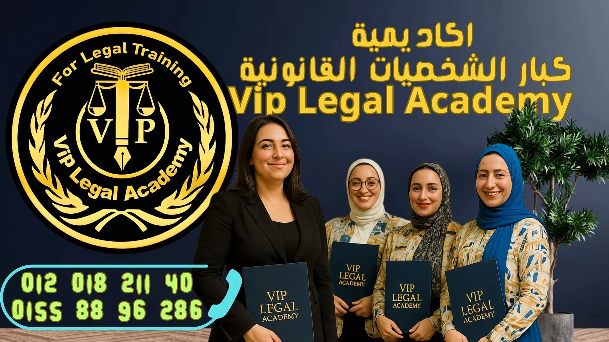 VIP Legal Academy | Alexandria