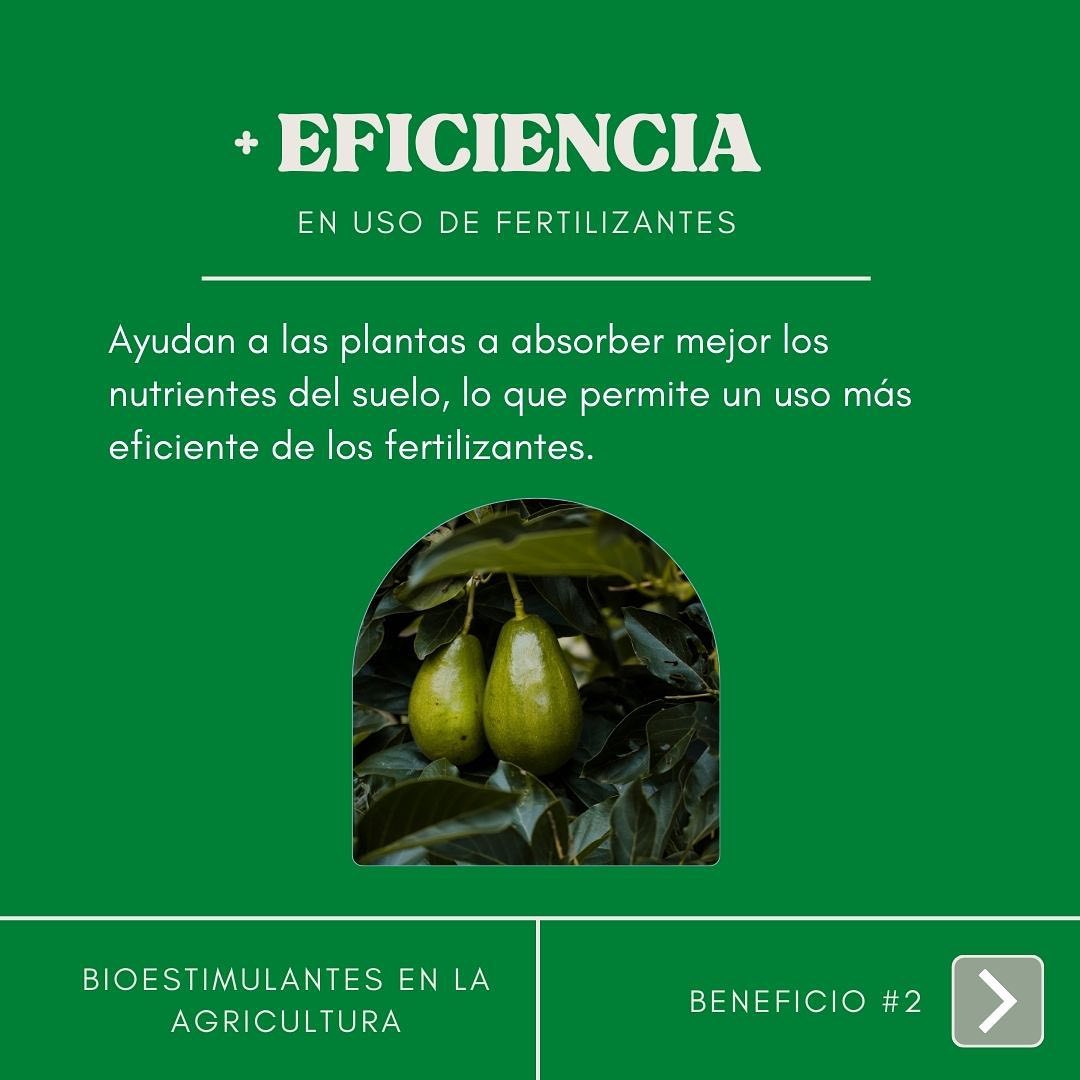 Fermil Fertilizantes