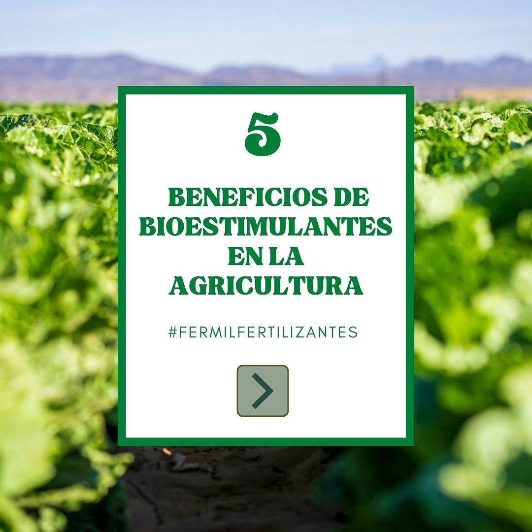 Fermil Fertilizantes