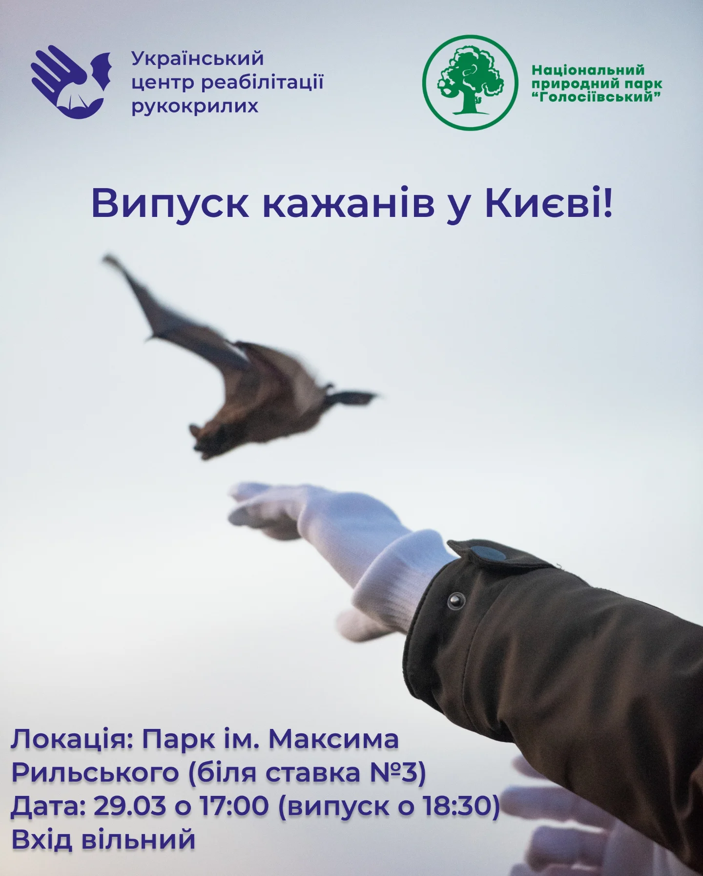 Ukrainian Bat Rehabilitation Center | Kharkiv