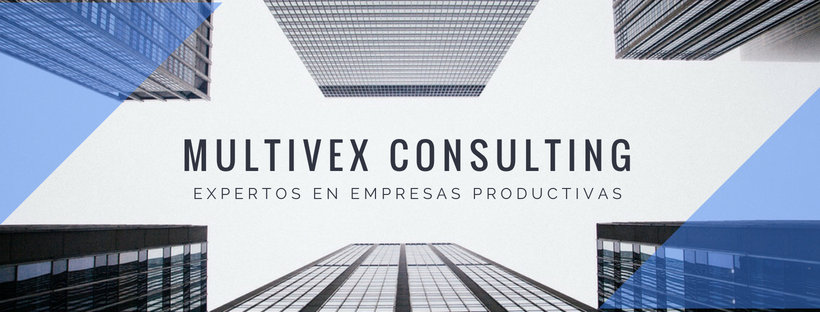 Multivex Consulting