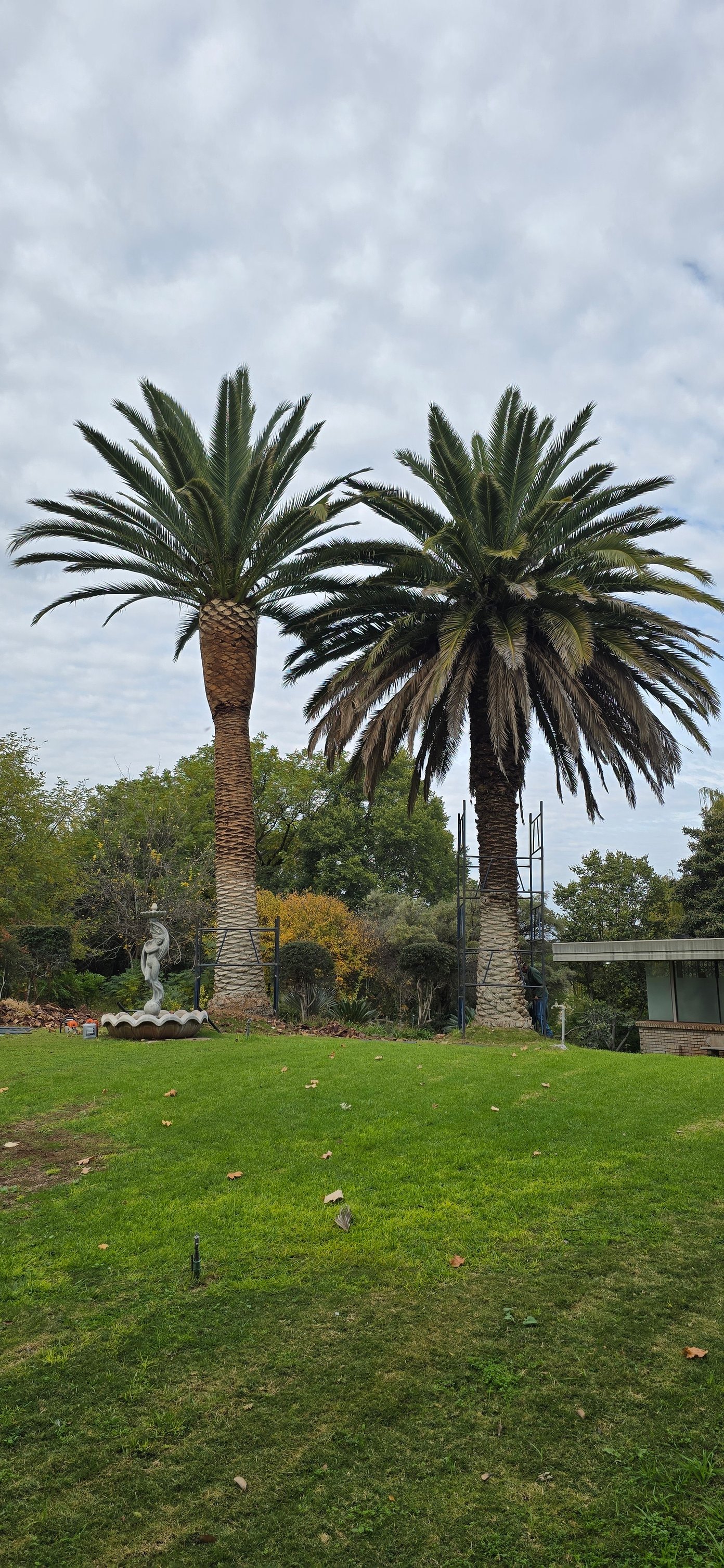 Top Cut Tree Felling & Landscaping | Kuruman