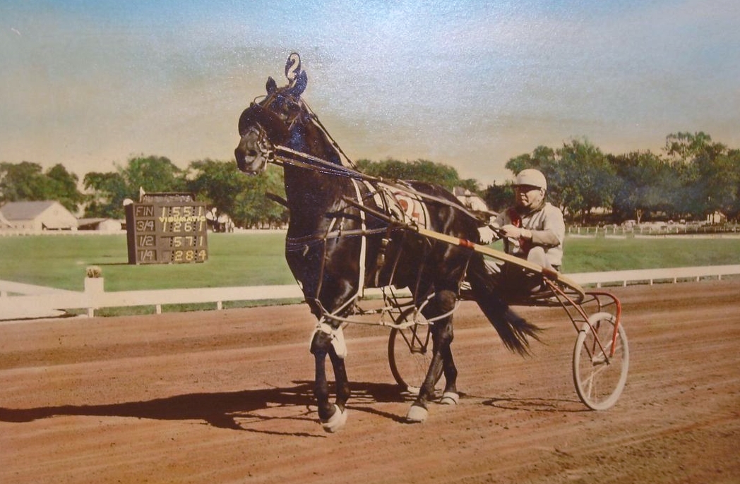 On this day in harness racing... - Fredericton Raceway